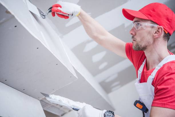 Professional Drywall & Painting Services in Ignacio, CO